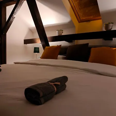 Apartament Dama *